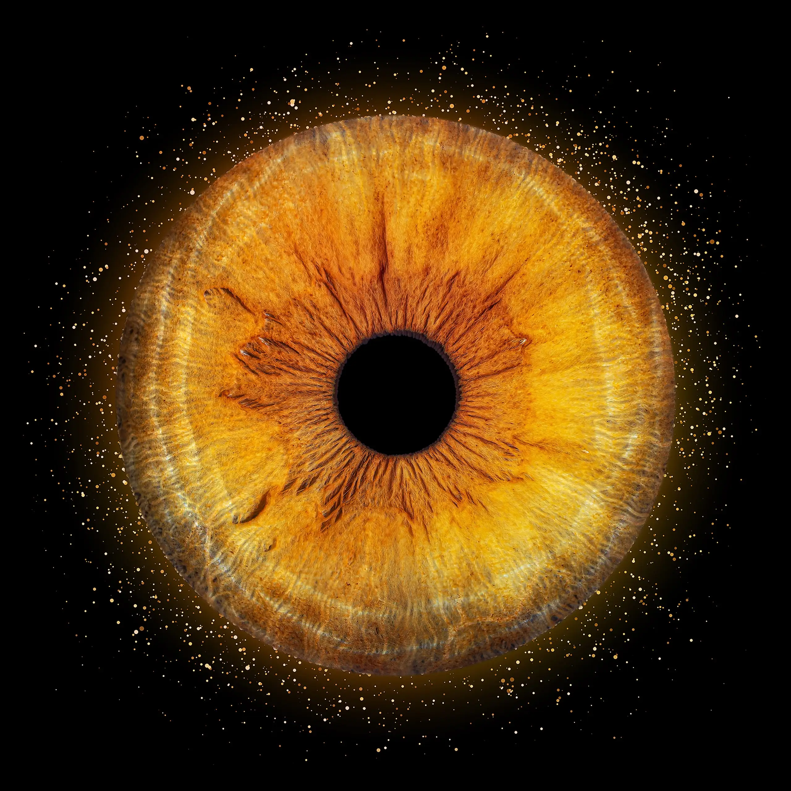 Glow variant 1