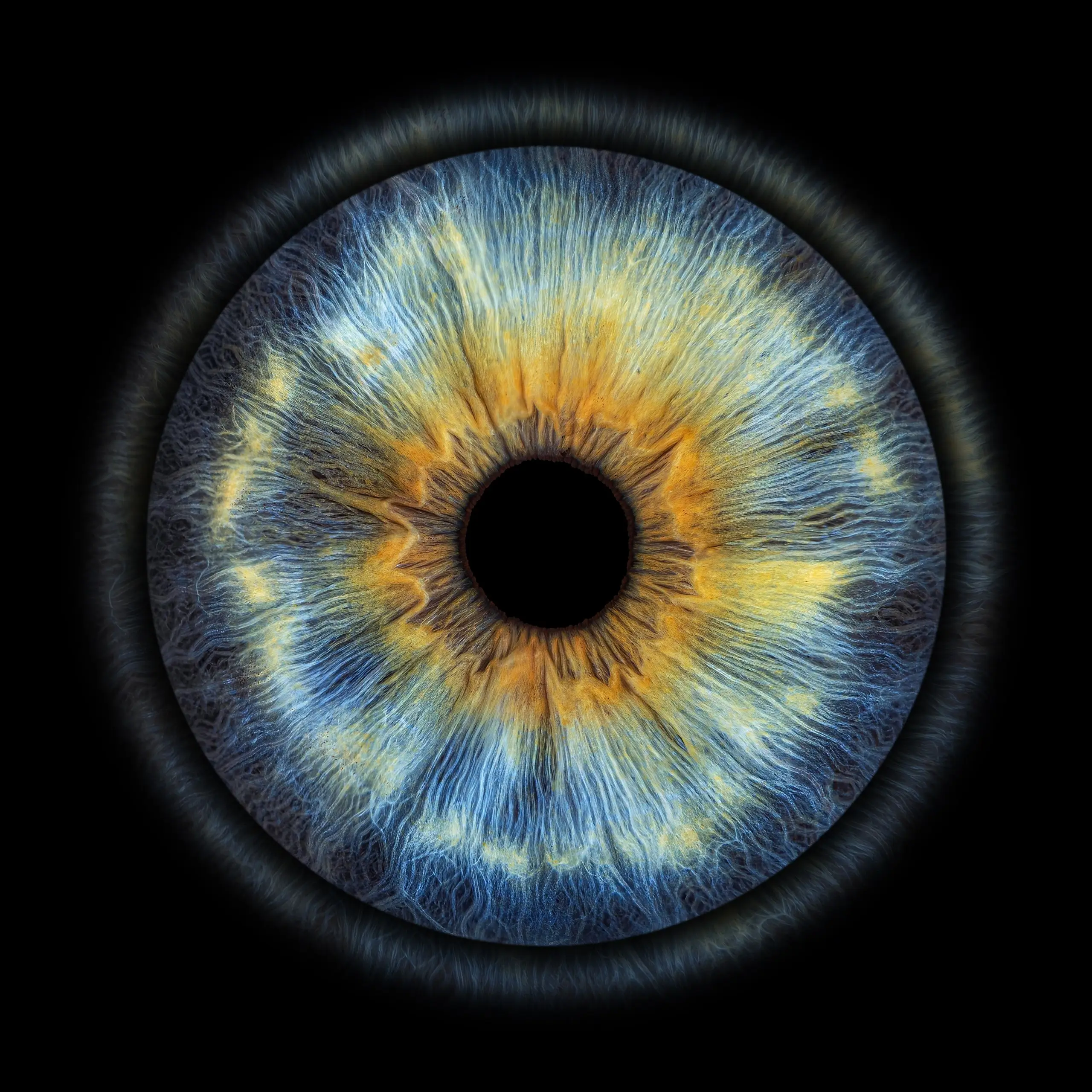 Halo light variant 1
