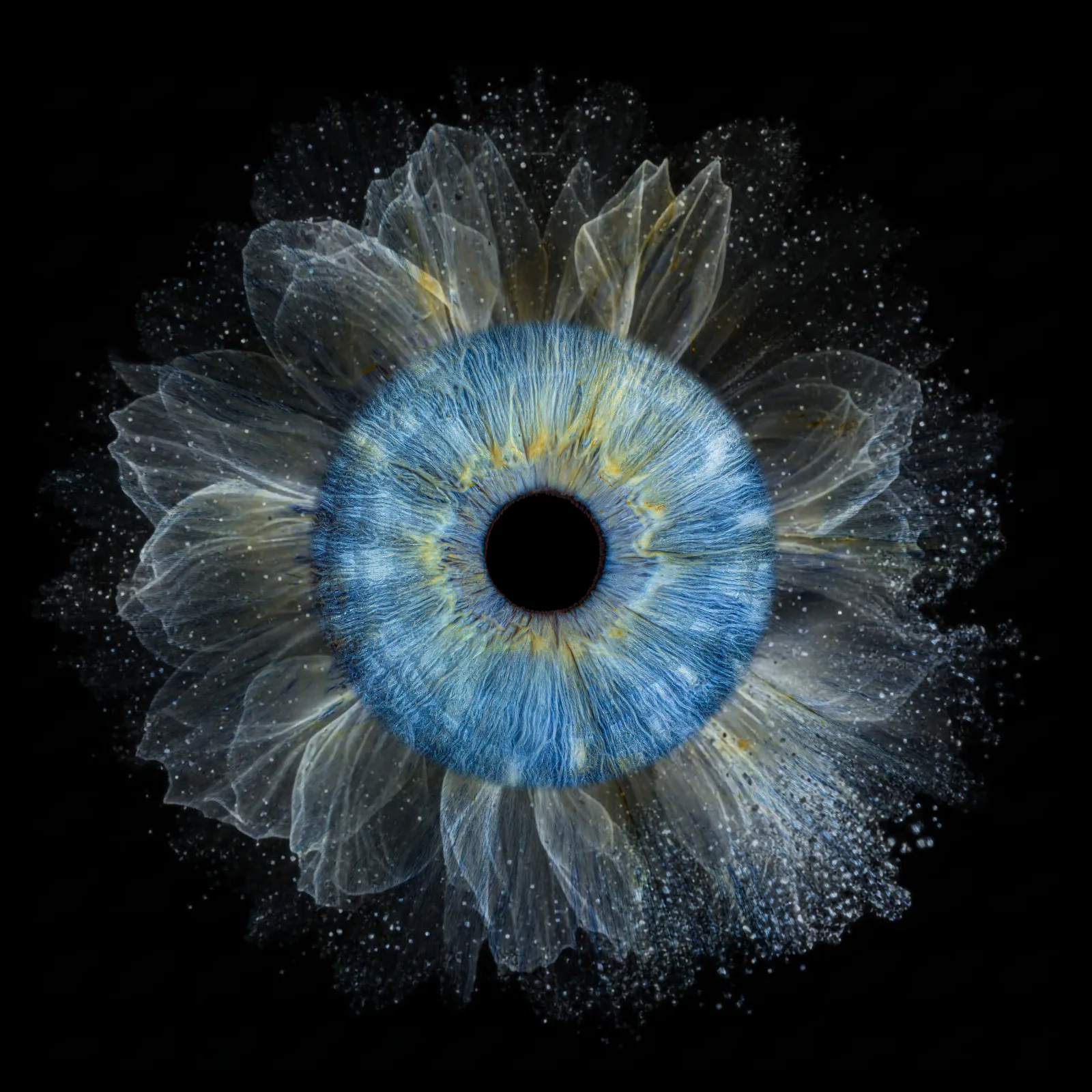 Crystal Flower variant 2