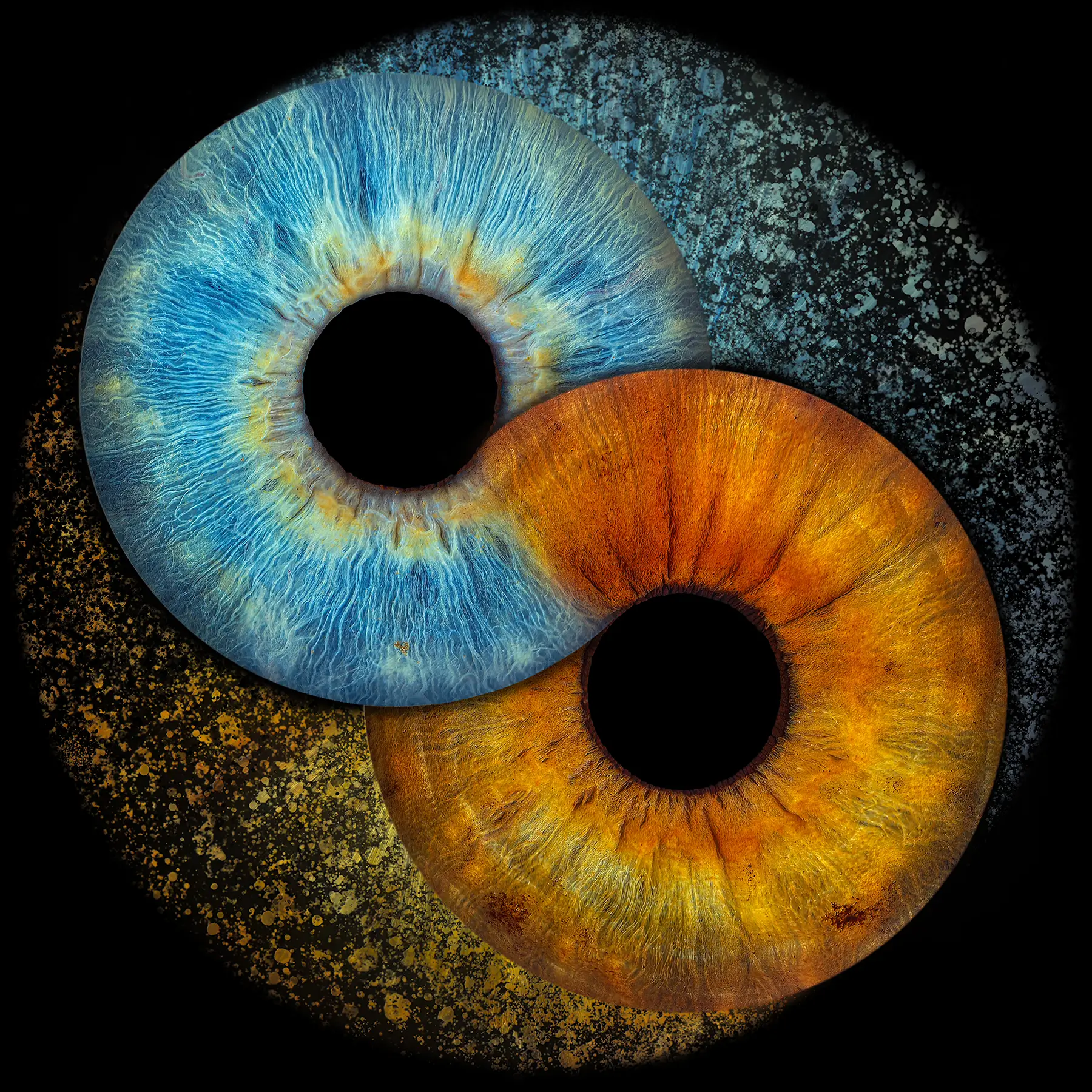 Infinity Meteor variant 1