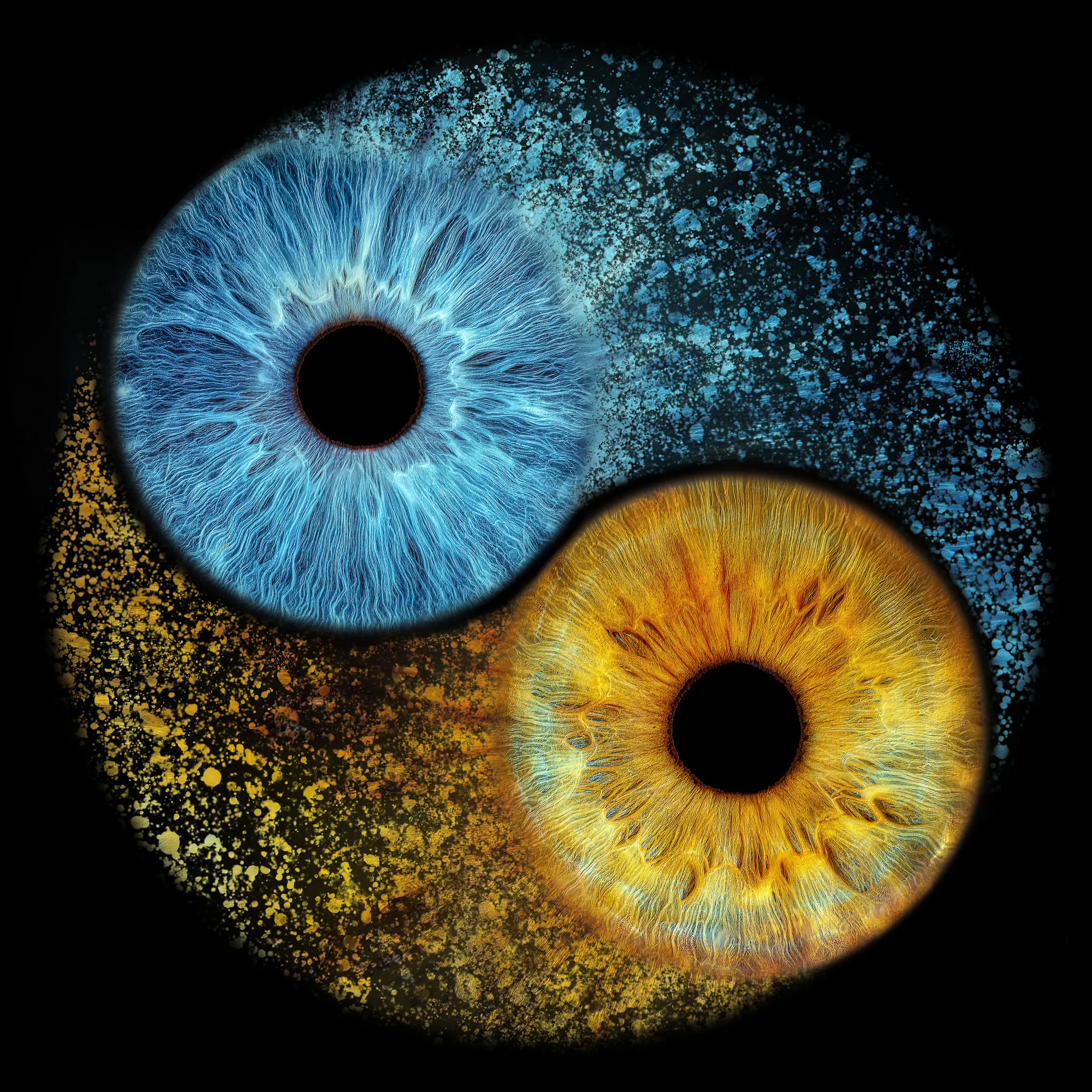 Yin & Yan Meteor variant 2