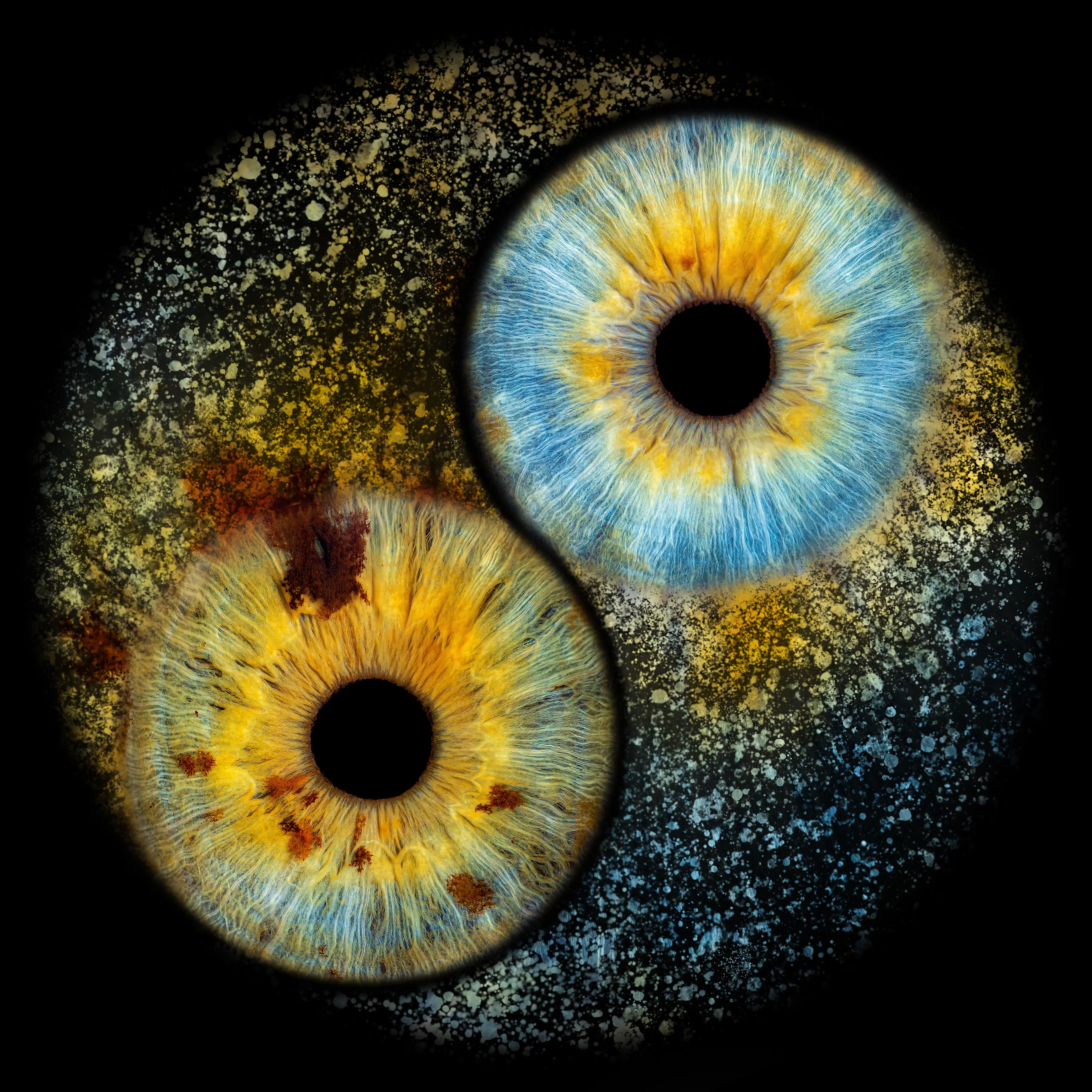 Yin & Yan Meteor variant 3